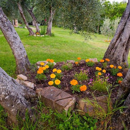 Agriturismo Bindozzino Кастильоне-д'Орчия Экстерьер фото