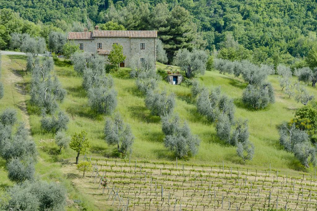 Agriturismo Bindozzino Кастильоне-д'Орчия Экстерьер фото